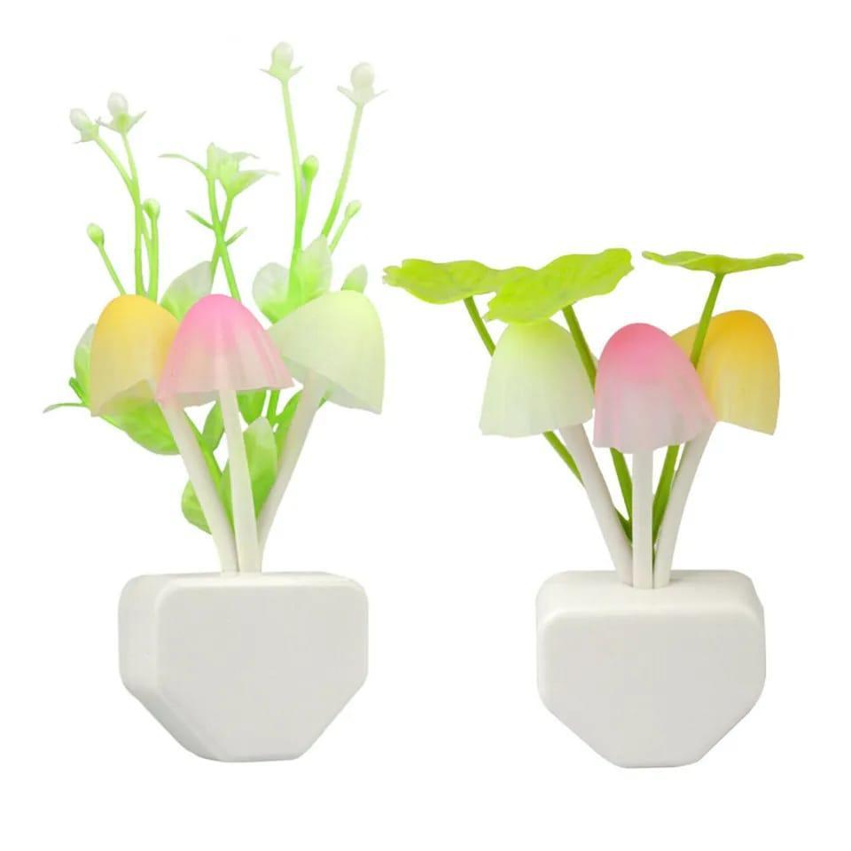 LED Decorative Lights